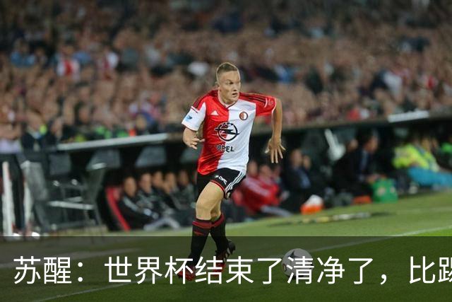 苏醒：世界杯结束了清净了，比踢到一半就淘汰的那种清净好