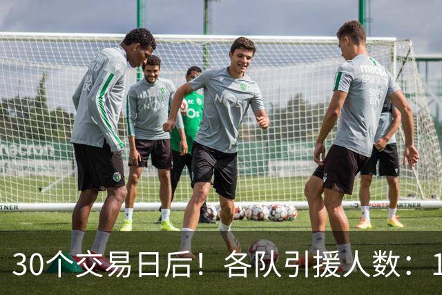 30个交易日后！各队引援人数：1队9人，4队5人，1队0人！